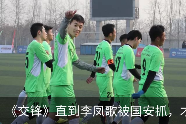 《交锋》直到李凤歌被国安抓，才知，她背叛国安卖国，竟是为了报复马憩？林看山赢麻了