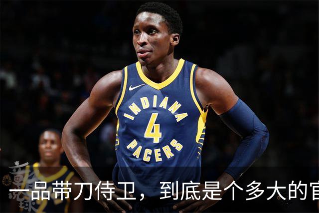 一品带刀侍卫，到底是个多大的官？