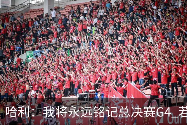 哈利：我将永远铭记总决赛G4 若赢下那场比赛系列赛走向会改变
