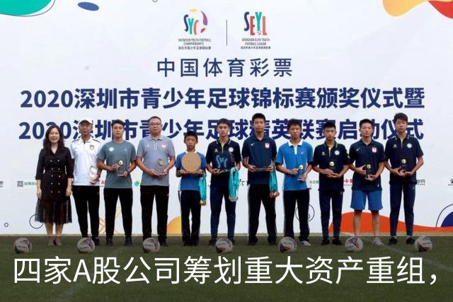 四家A股公司筹划重大资产重组，中国稀土、TCL中环将于下周一停牌