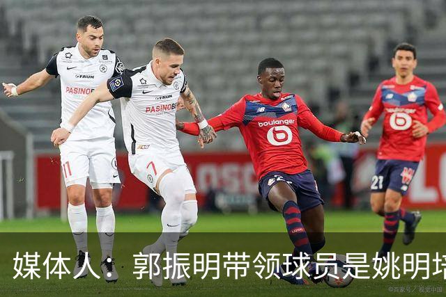 媒体人：郭振明带领球员是姚明培养的 但只怪球员能力不足不合理