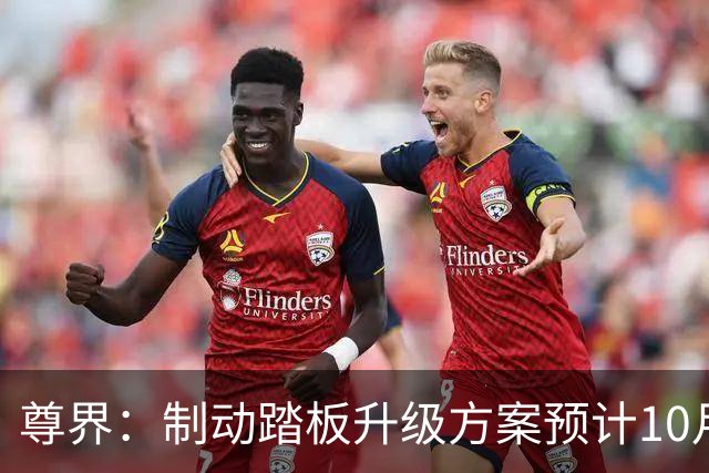 尊界：制动踏板升级方案预计10月底确认，11月起陆续启动升级