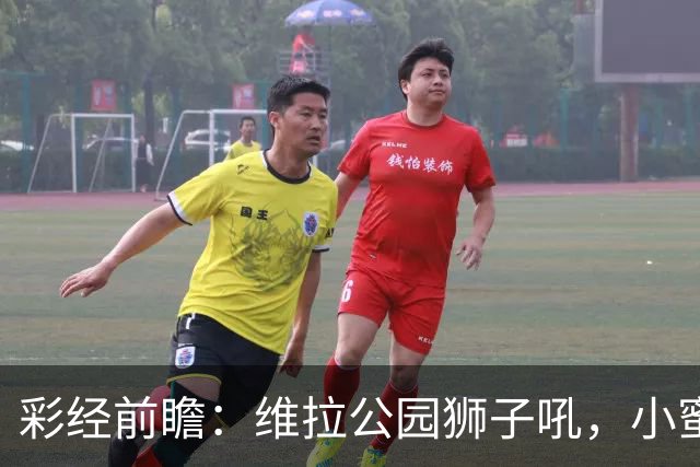 彩经前瞻：维拉公园狮子吼，小蜜蜂难采蜜！看好维拉主场不败