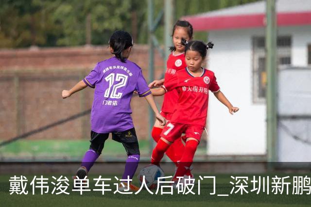 戴伟浚单车过人后破门 深圳新鹏城客场1-3大连英博海发