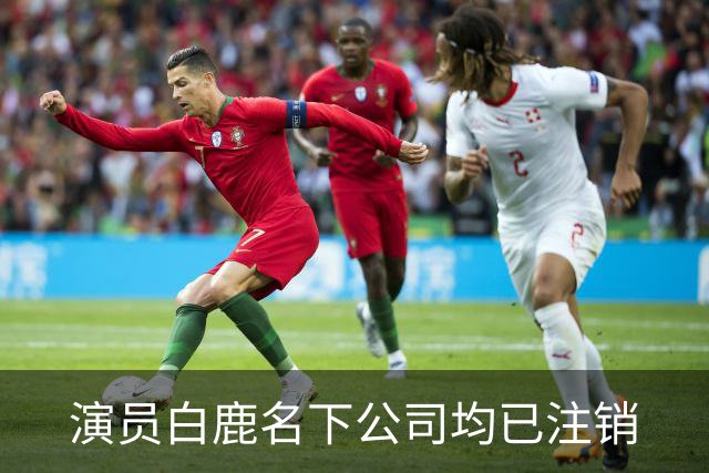 演员白鹿名下公司均已注销