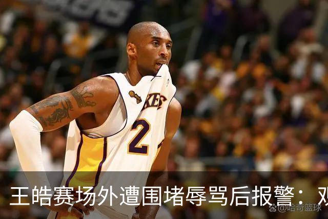 王皓赛场外遭围堵辱骂后报警：观赛表达的法律边界在哪？“法不责众”能成为免责理由吗？律师解读