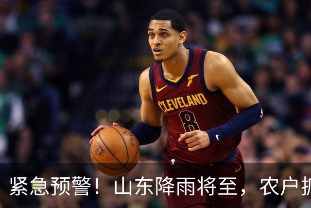 紧急预警！山东降雨将至，农户抓紧抢收玉米花坐