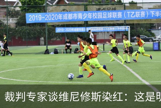 裁判专家谈维尼修斯染红：这是明确的红牌，没有任何争议