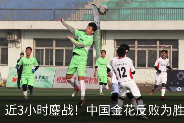 近3小时鏖战！中国金花反败为胜：抢7逆转12号种子，武网双线飘红！