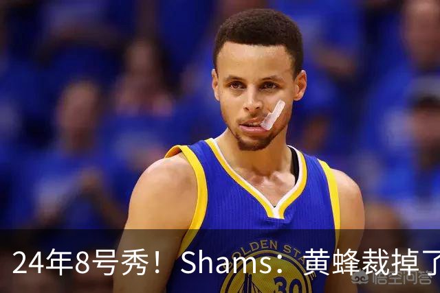 24年8号秀！Shams：黄蜂裁掉了后卫罗布·迪林厄姆