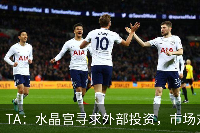 TA：水晶宫寻求外部投资，市场对该俱乐部9亿英镑的估值存在分歧